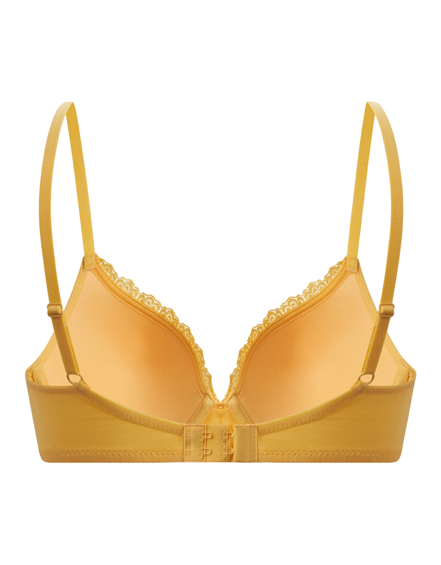 Plunge Bra