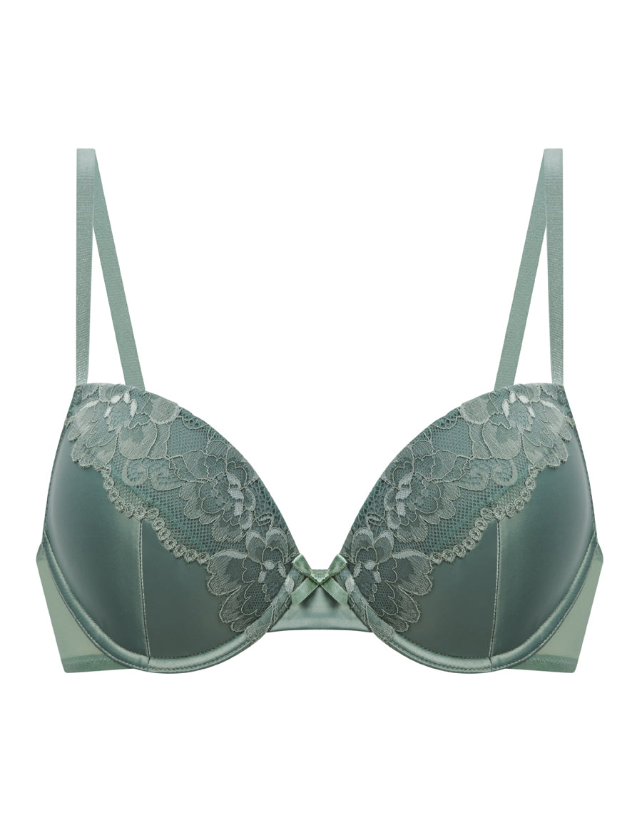 Plunge Bra