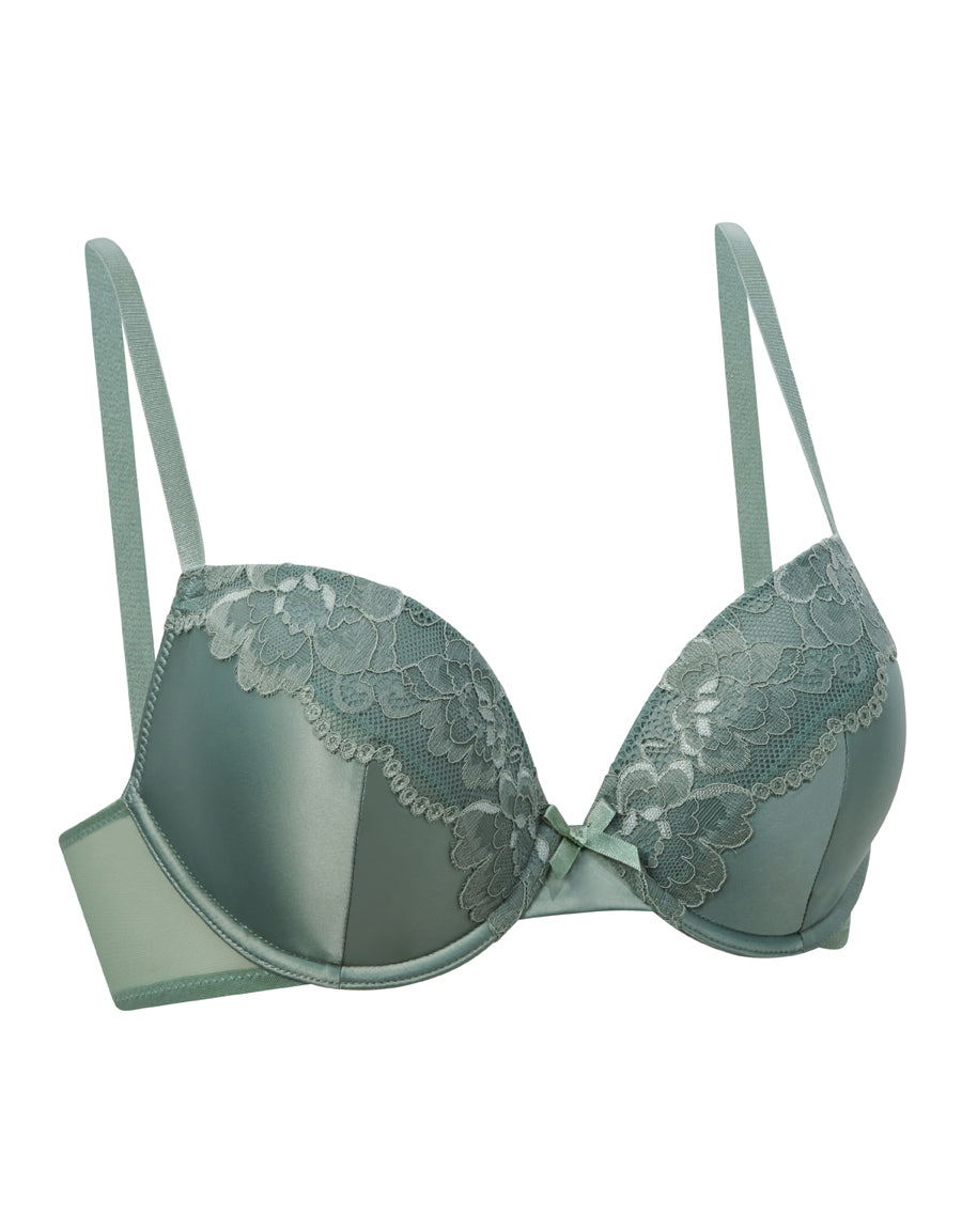 Plunge Bra