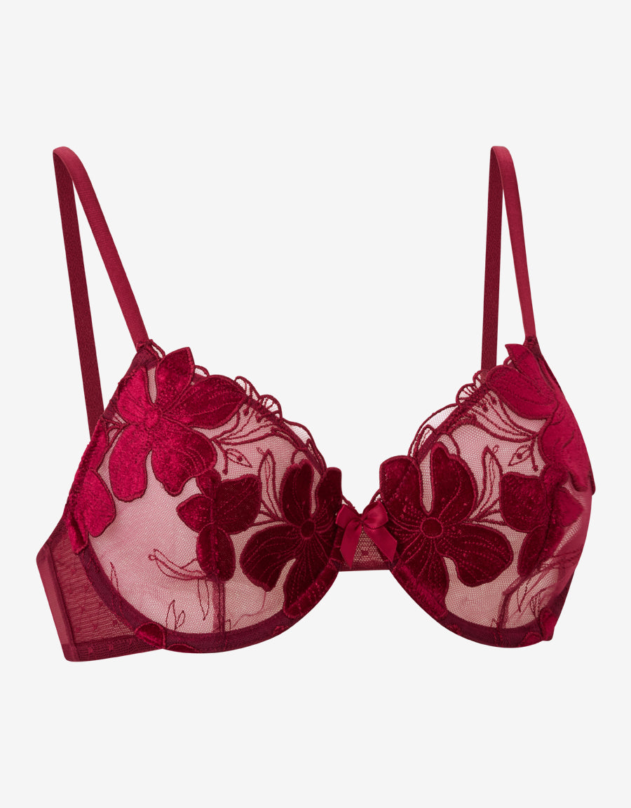 Plunge Bra