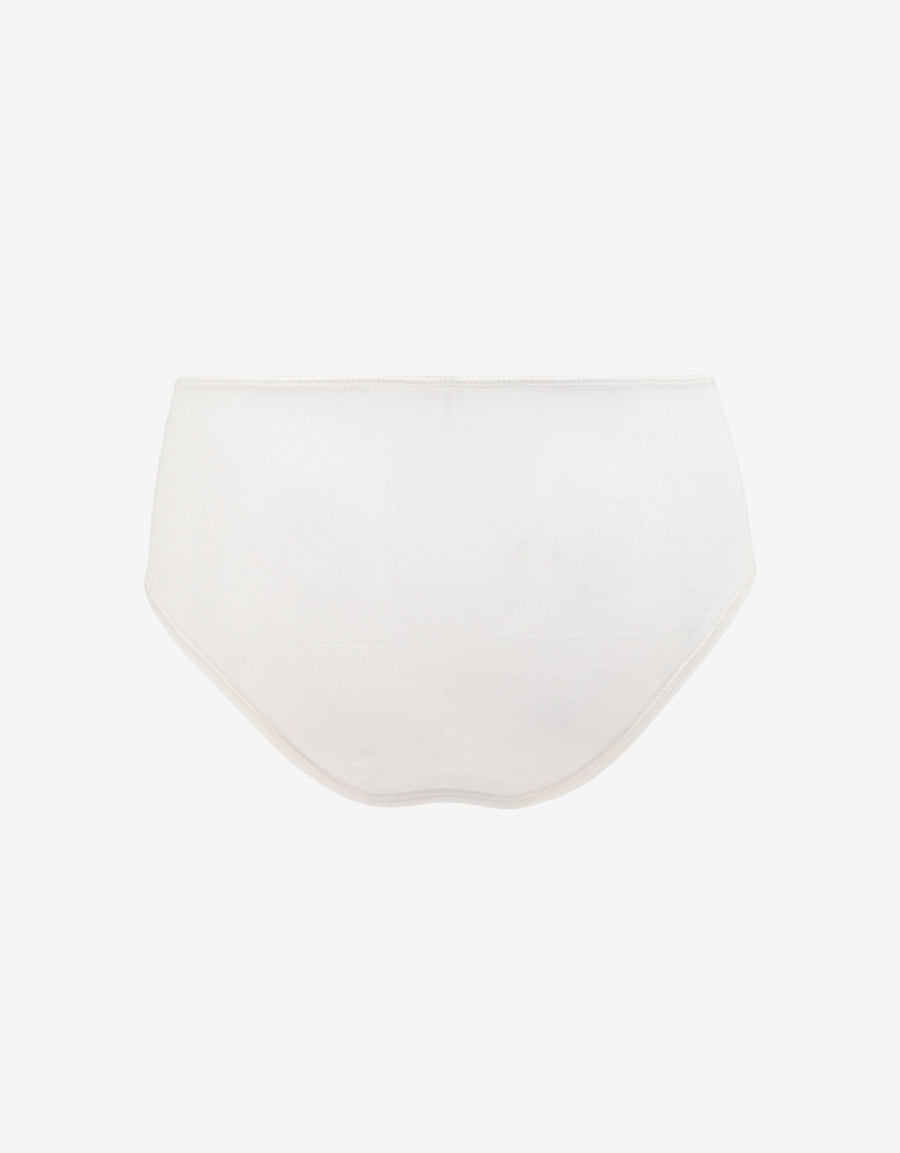 Sequin Embroidered Hipster Panty