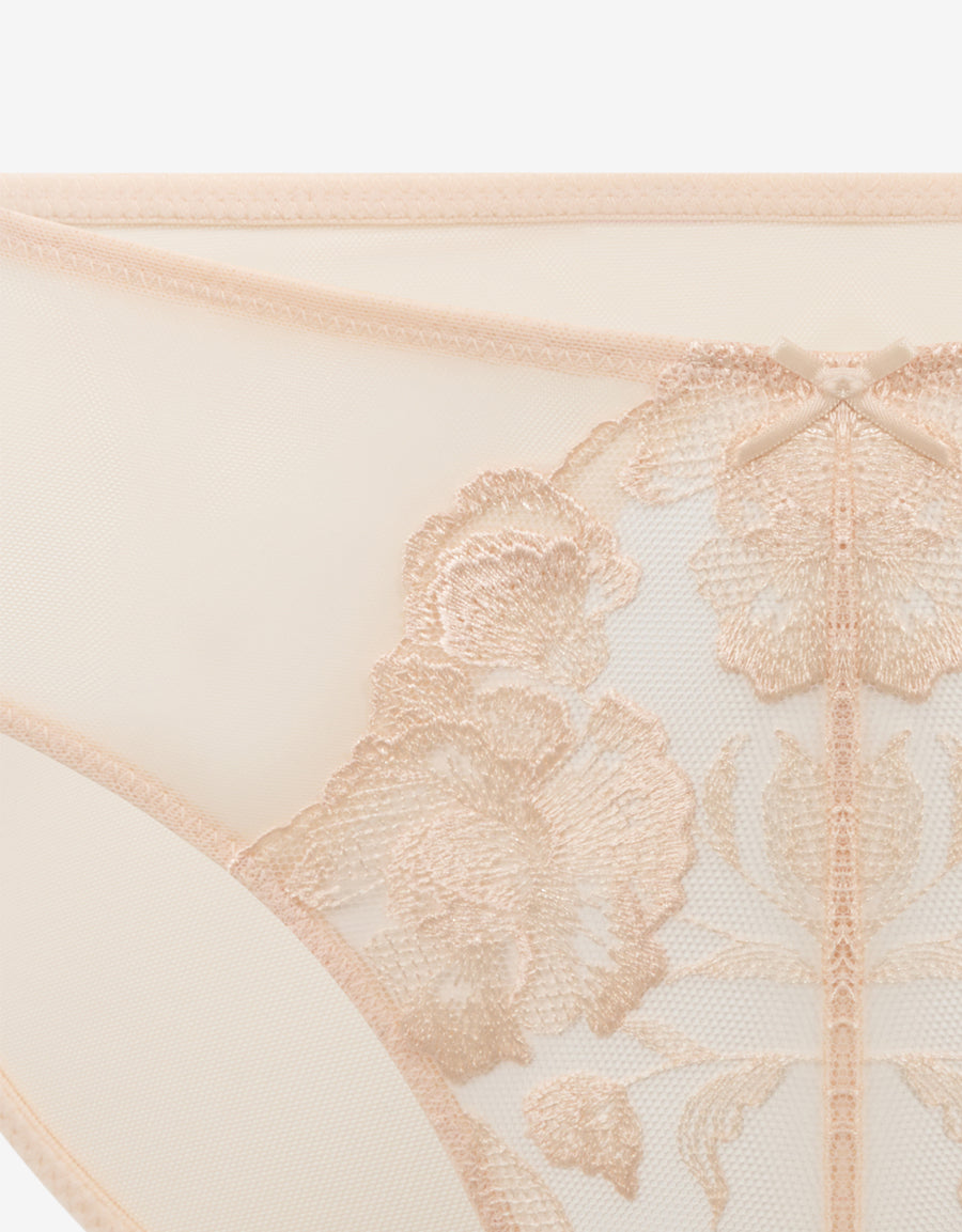 Mesh And Embroidery Bikini