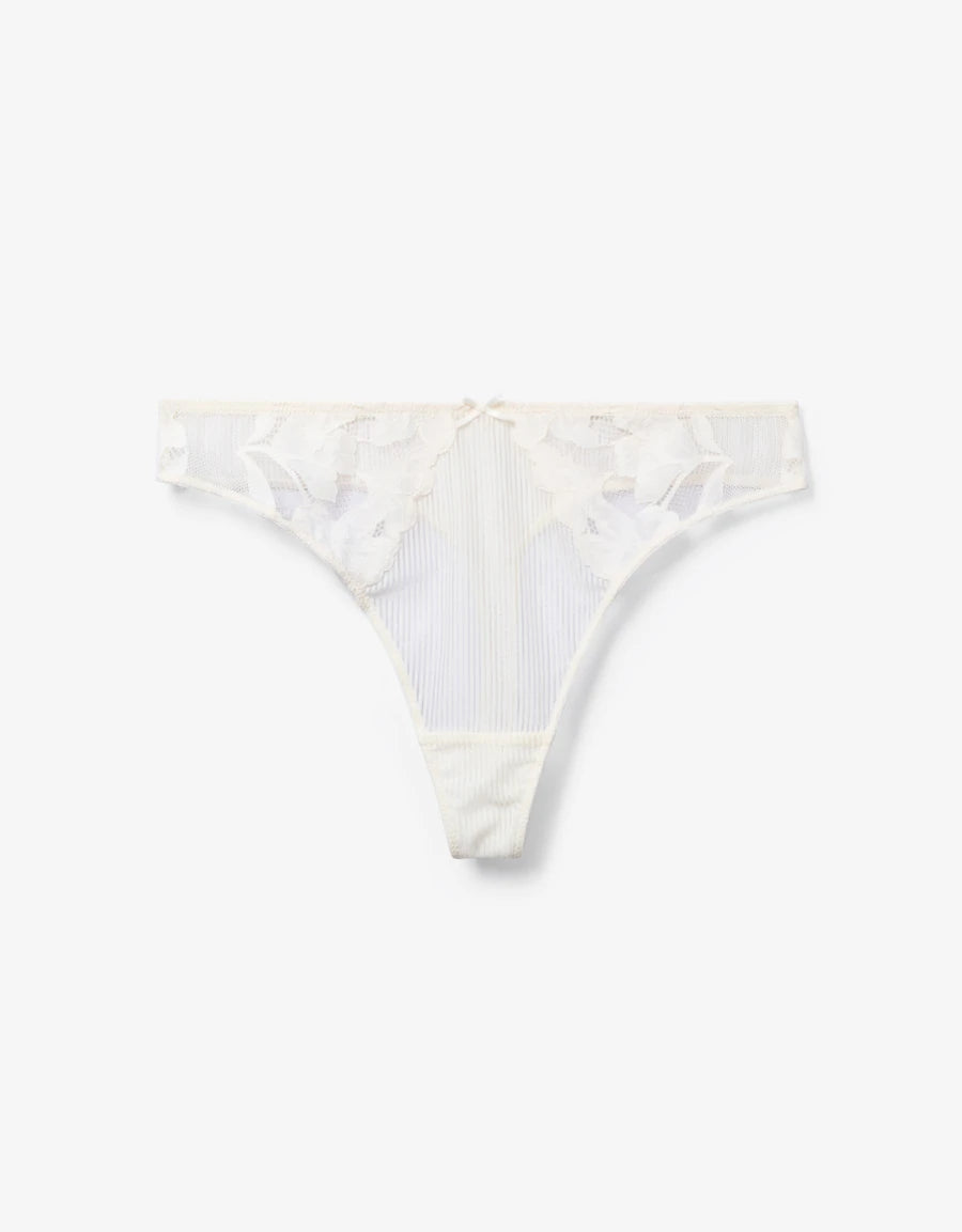 Embroidered Lace Hipster Panty