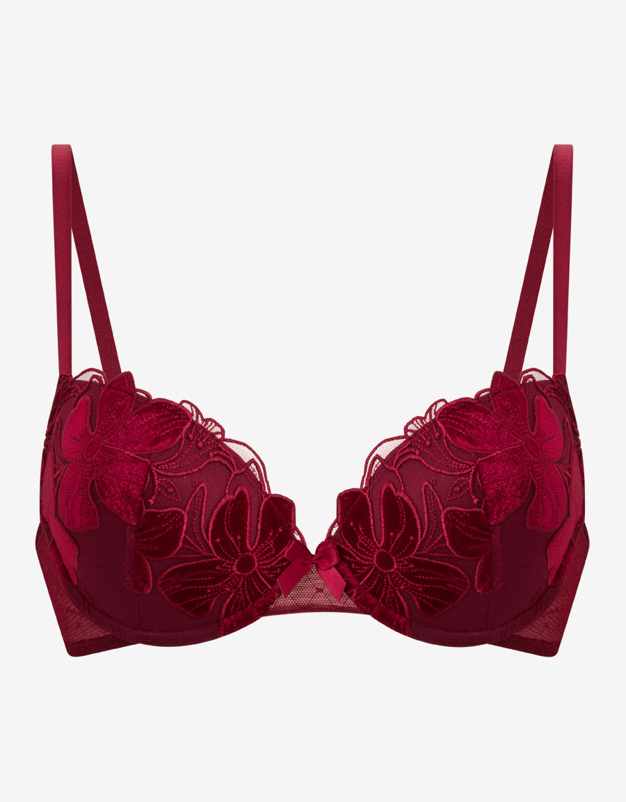Lace And Mesh Plunge Bra
