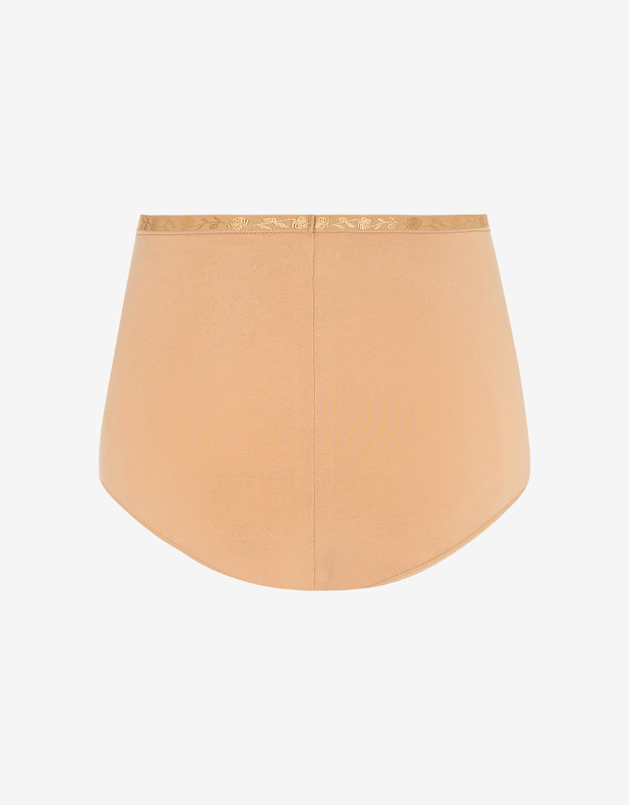 High Waist Brief