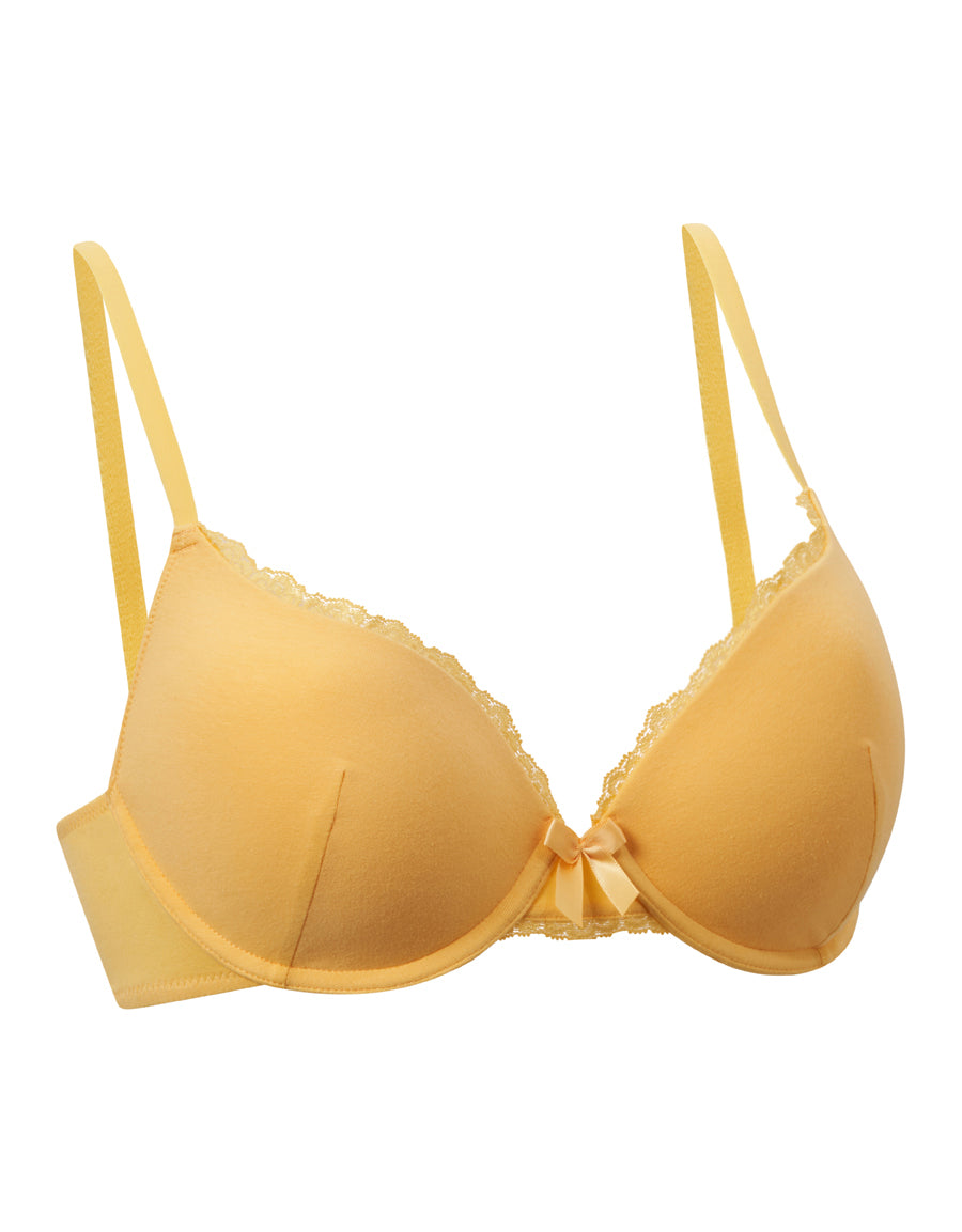 Plunge Bra