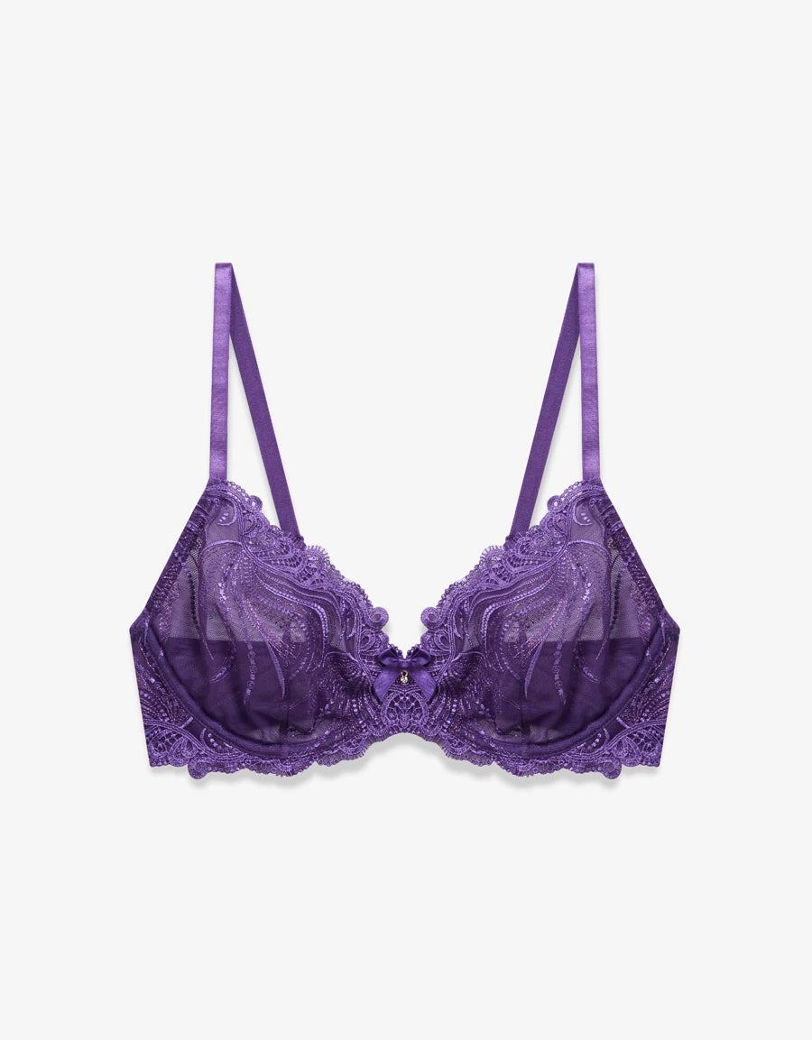 Embroidered Lace Plunge Bra