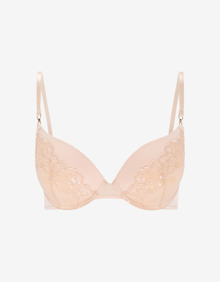 Embroidered Lace Plunge Bra