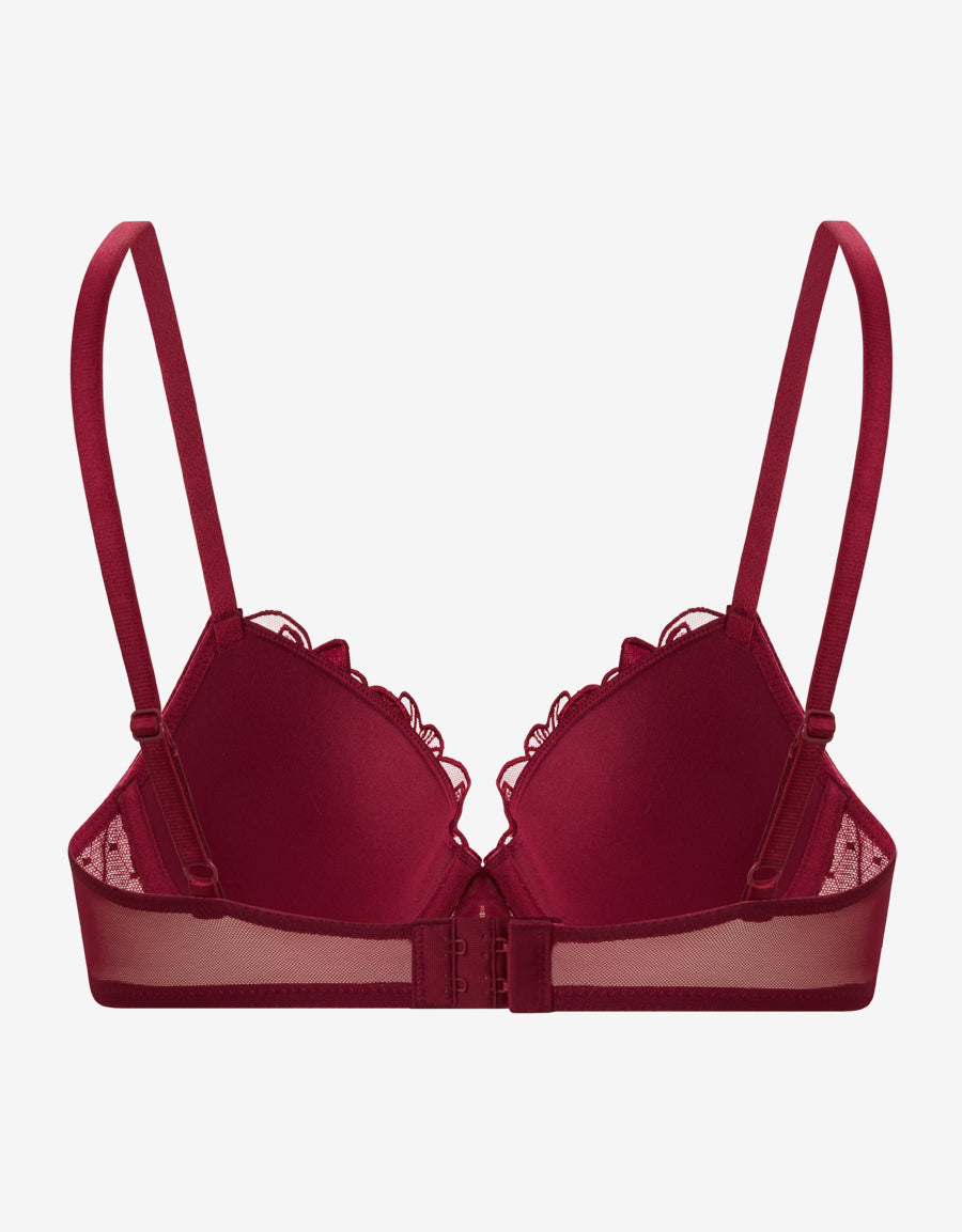 Lace And Mesh Plunge Bra
