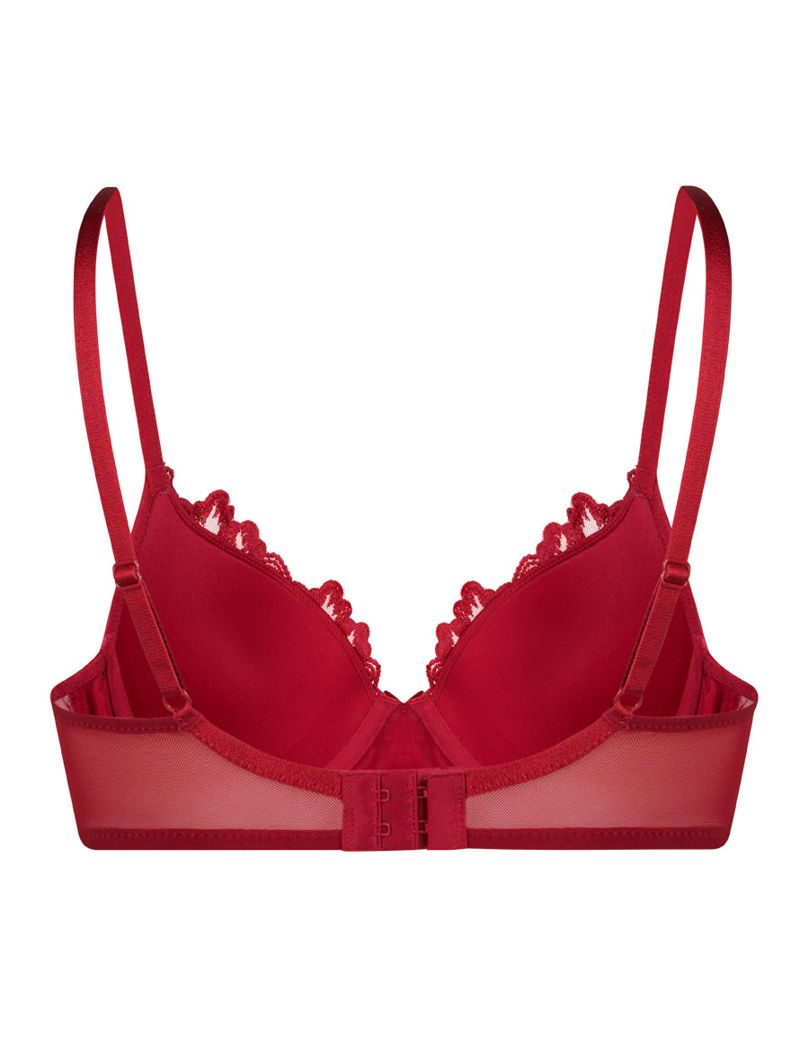 EMBROIDERY PLUNGE BRA