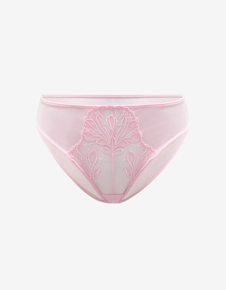 Embroidered Lace Bikini Panty