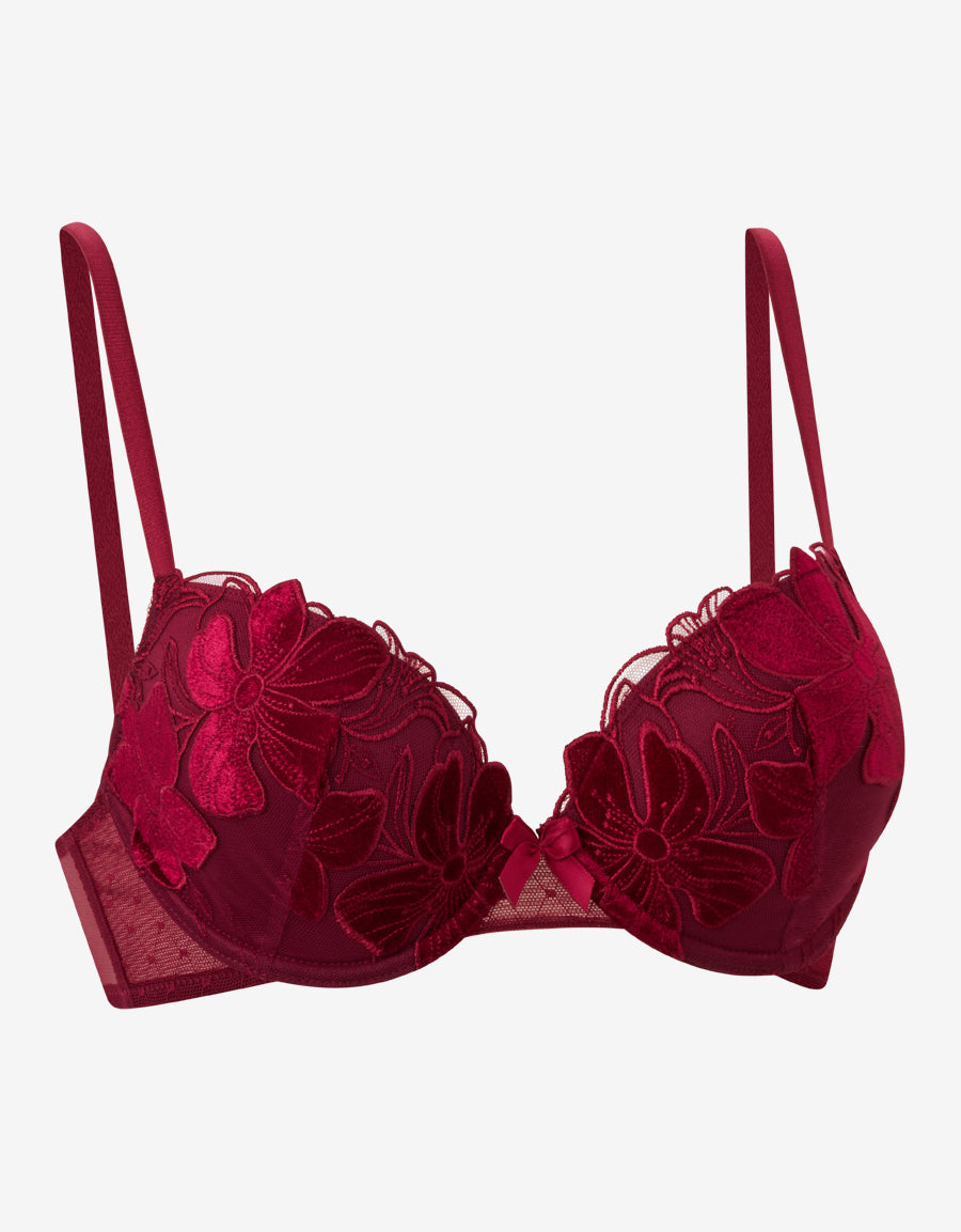 Lace And Mesh Plunge Bra