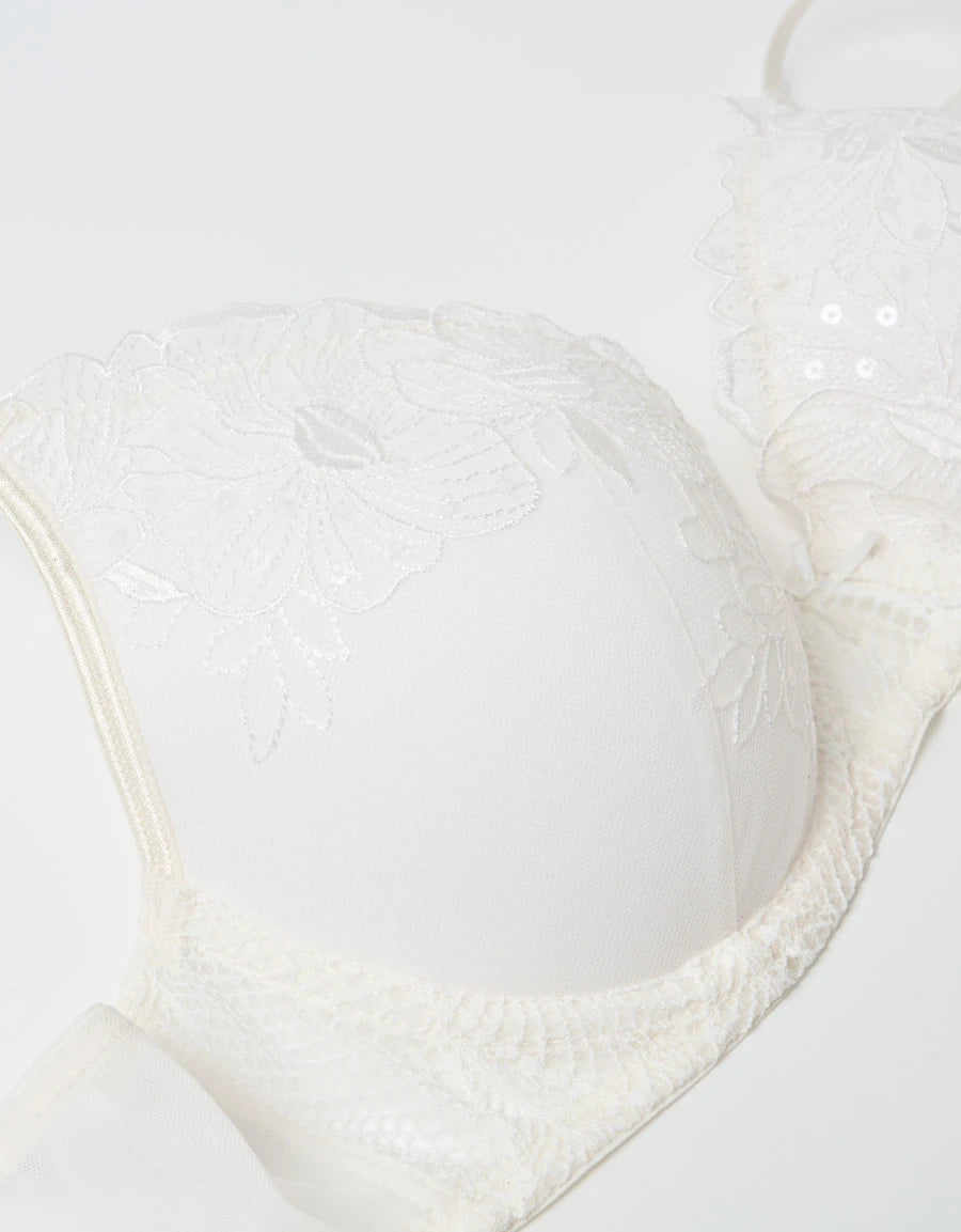 Embroidered Lace Push-Up Plunge Bra