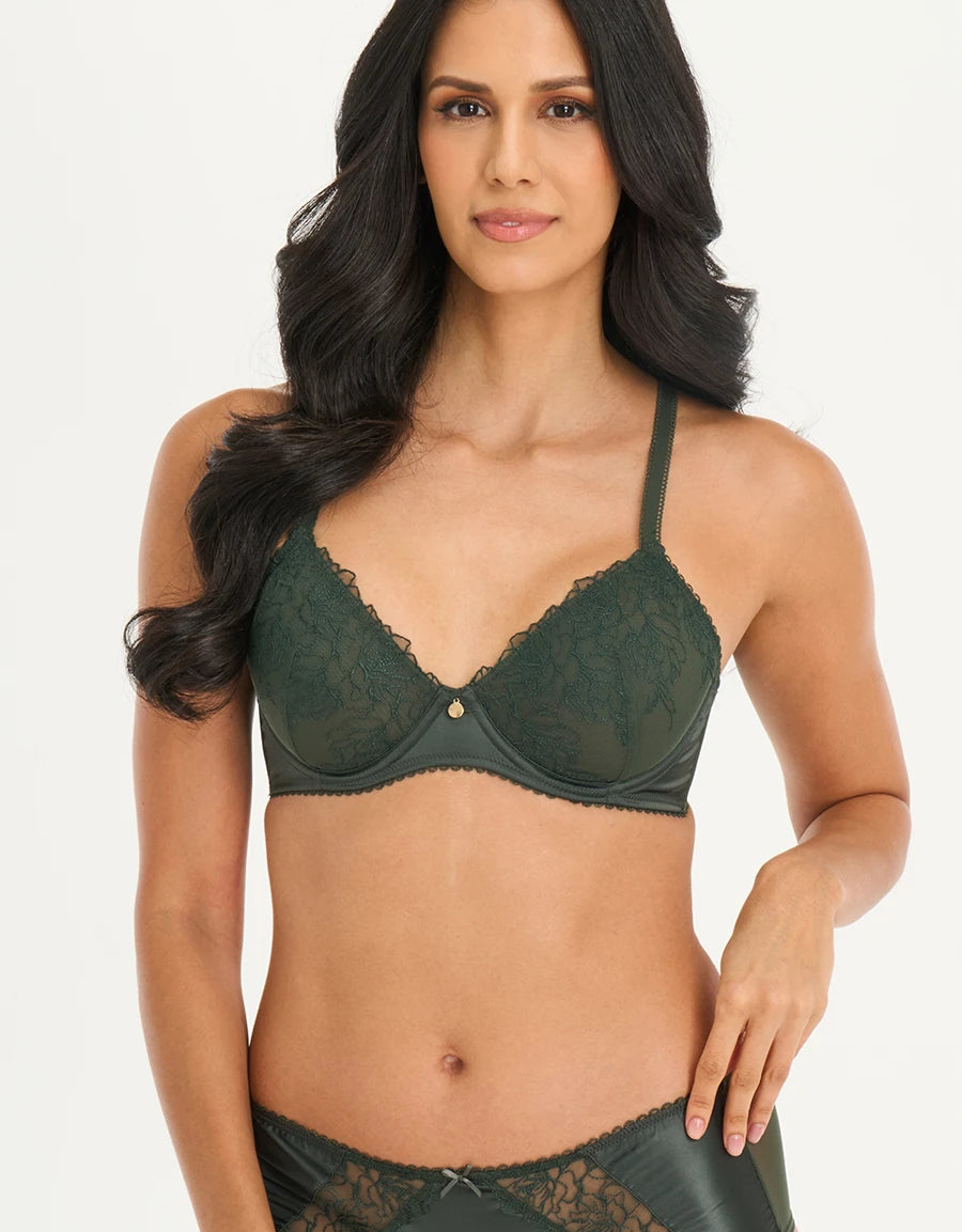 Embroidered Lace Plunge Bra
