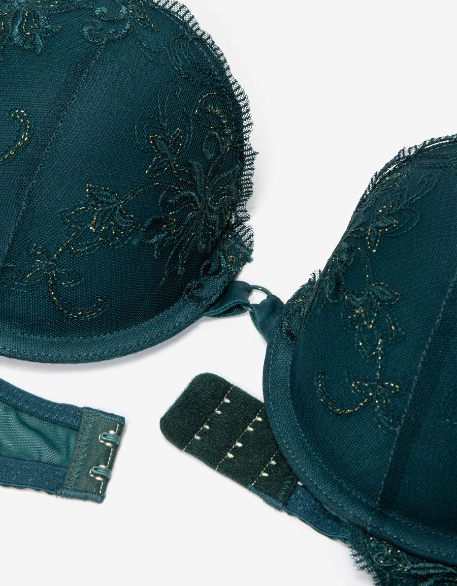 Embroidered Plunge Bra