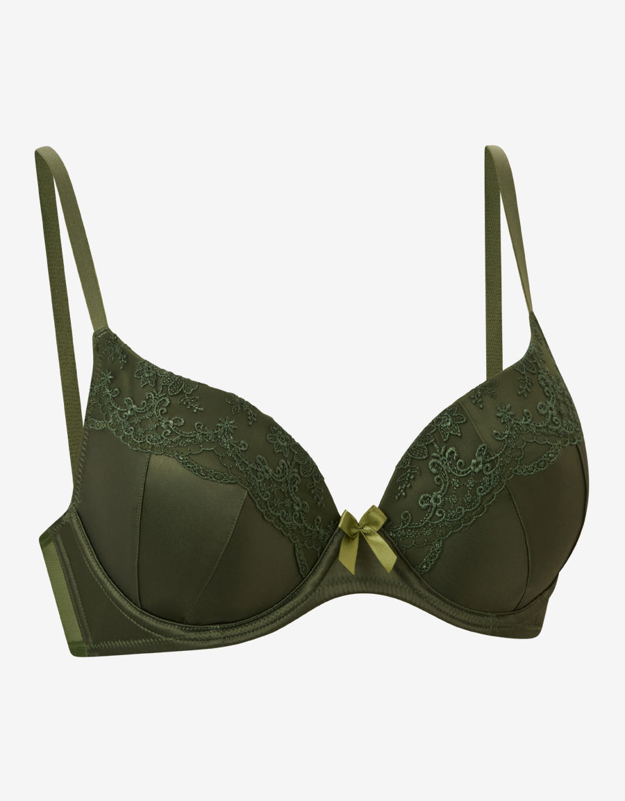 Mesh And Embroidery Plunge Bra