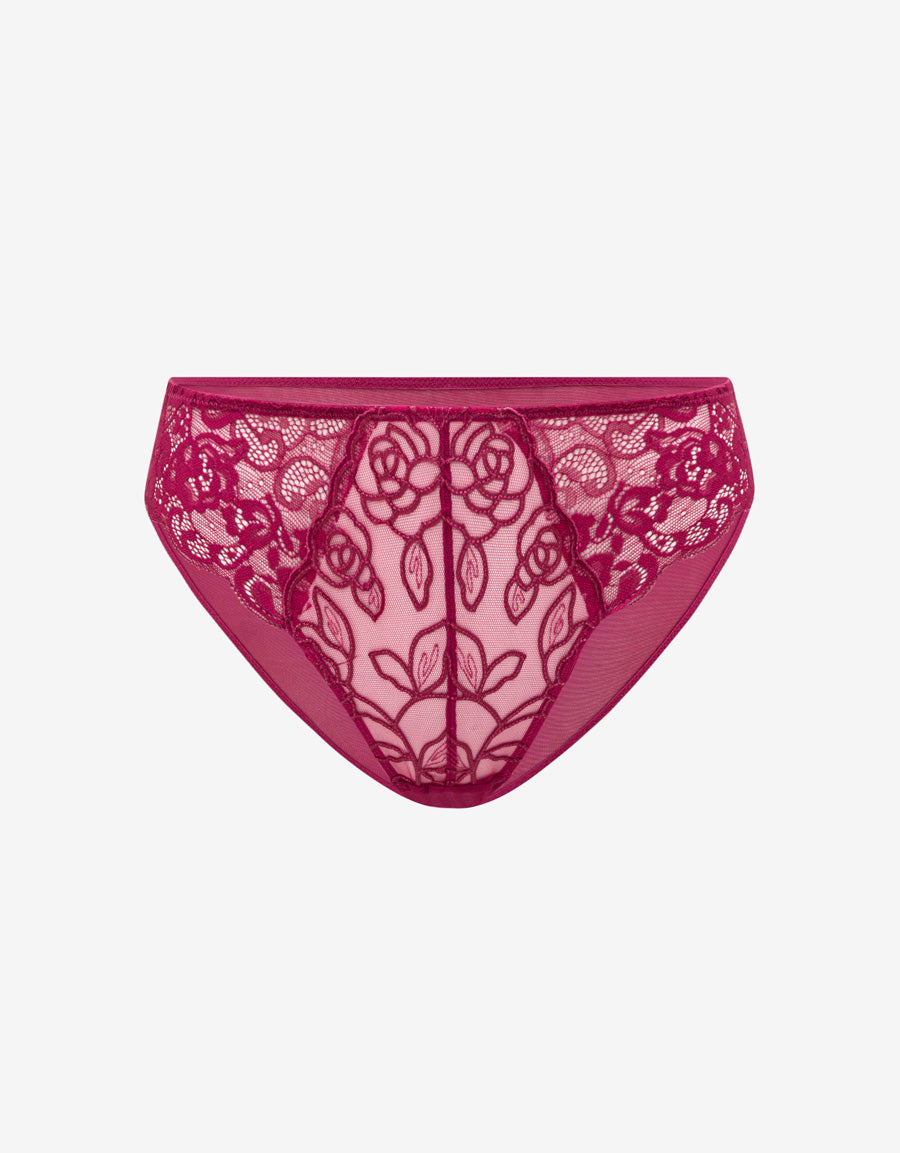 Embroidered Lace Bikini Panty