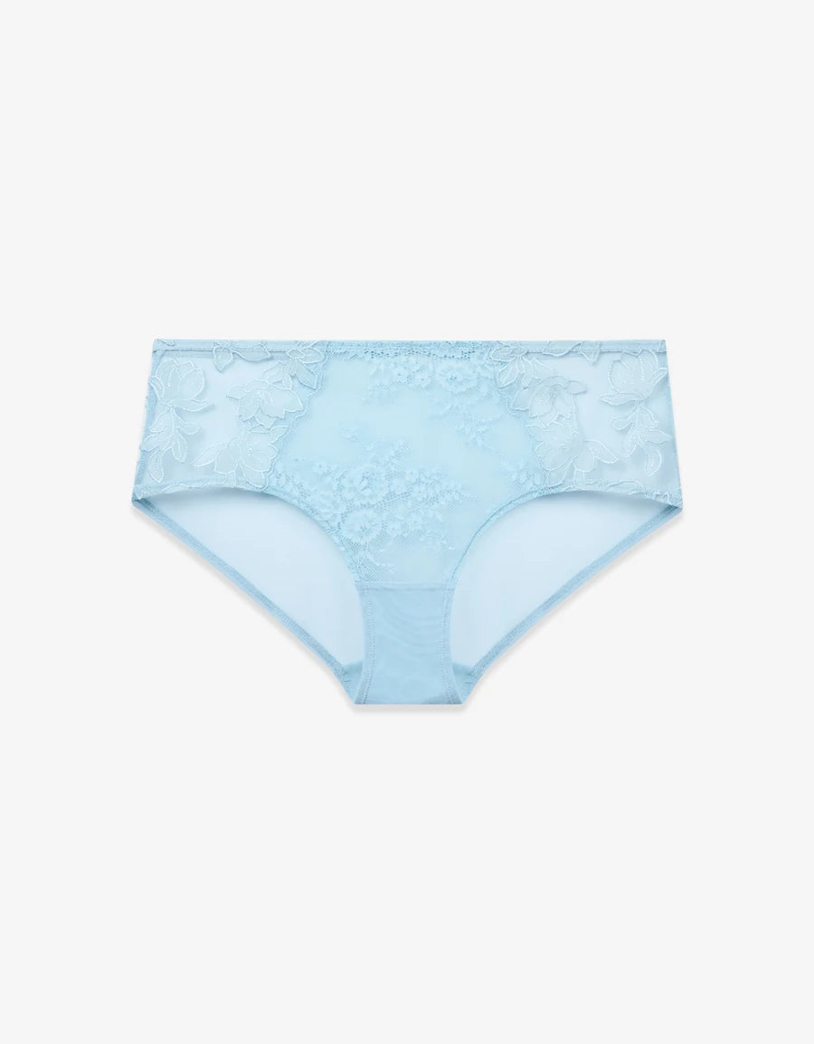 Embroidered Lace Hipster Panty