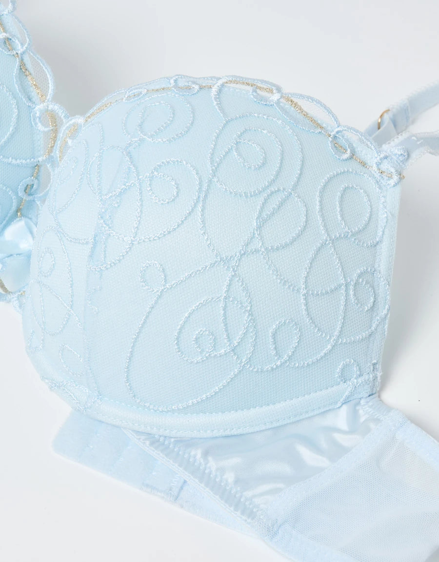 Embroidered Lace Push-Up Plunge Bra