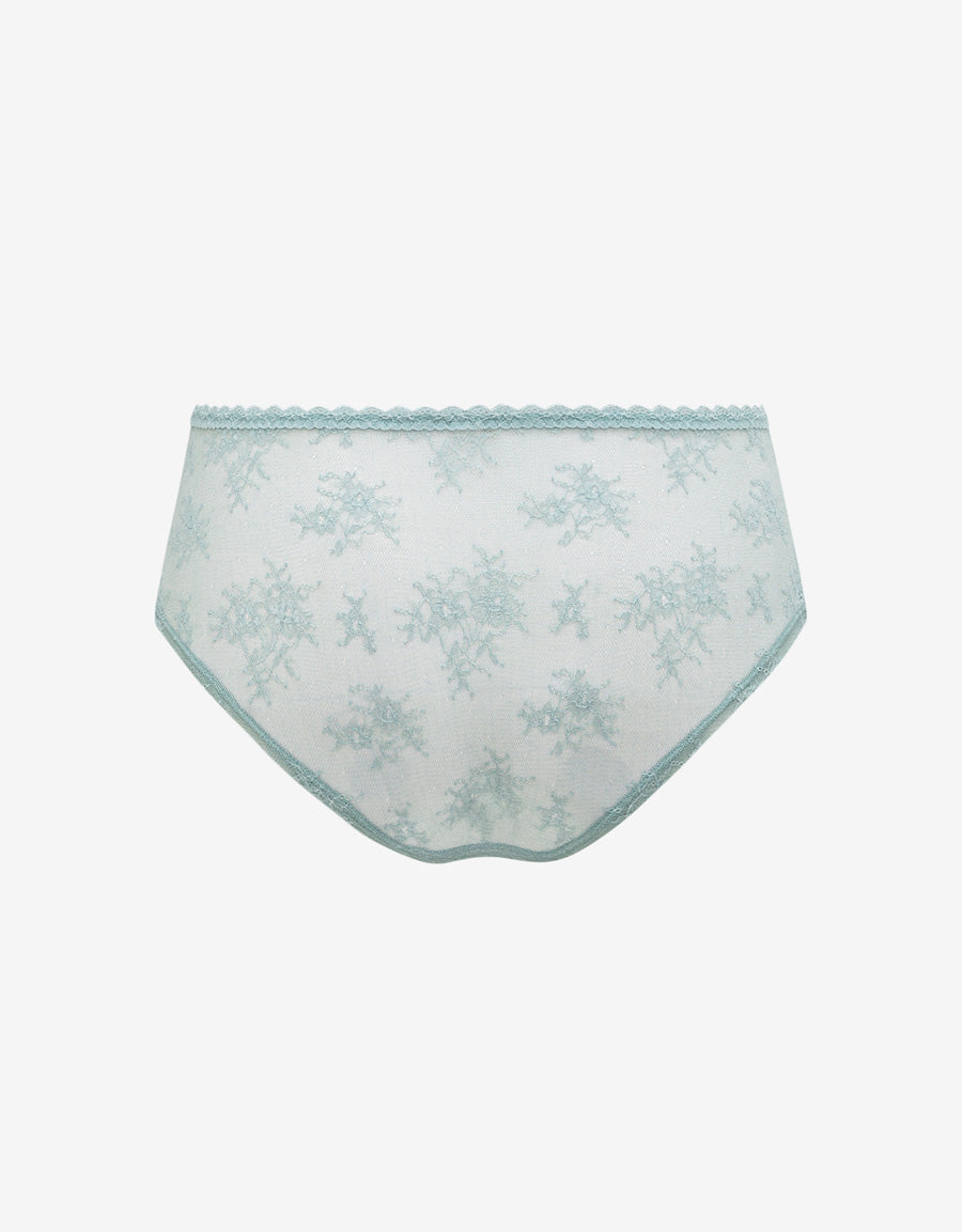 Sequin Embroidered Lace Hipster Panty