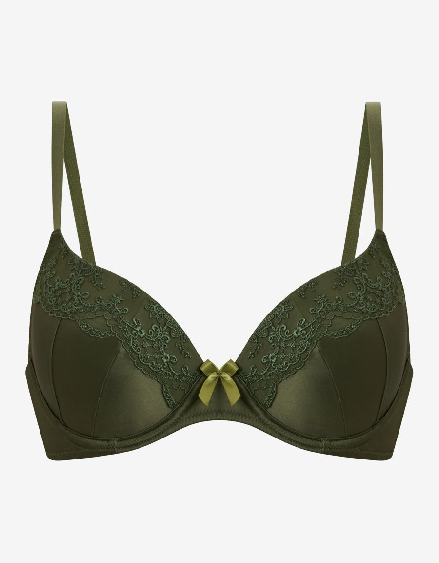 Mesh And Embroidery Plunge Bra