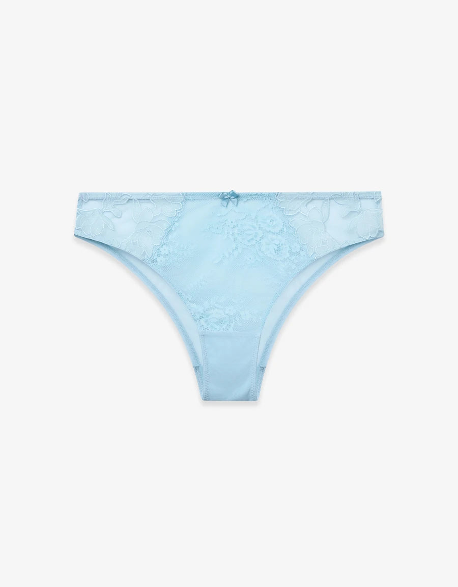 Embroidered Lace Brazilian Panty