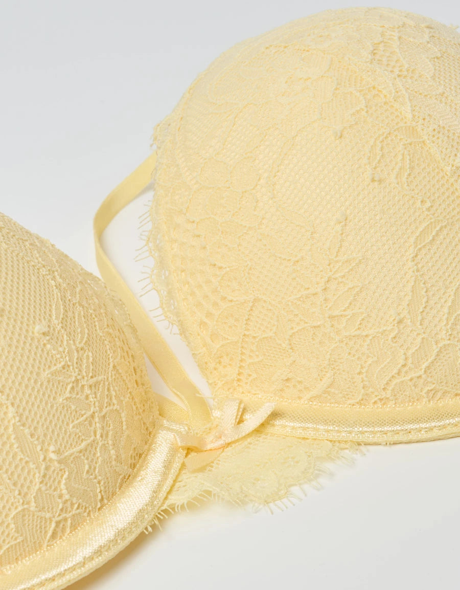 Lace Double Push-Up Plunge Bra