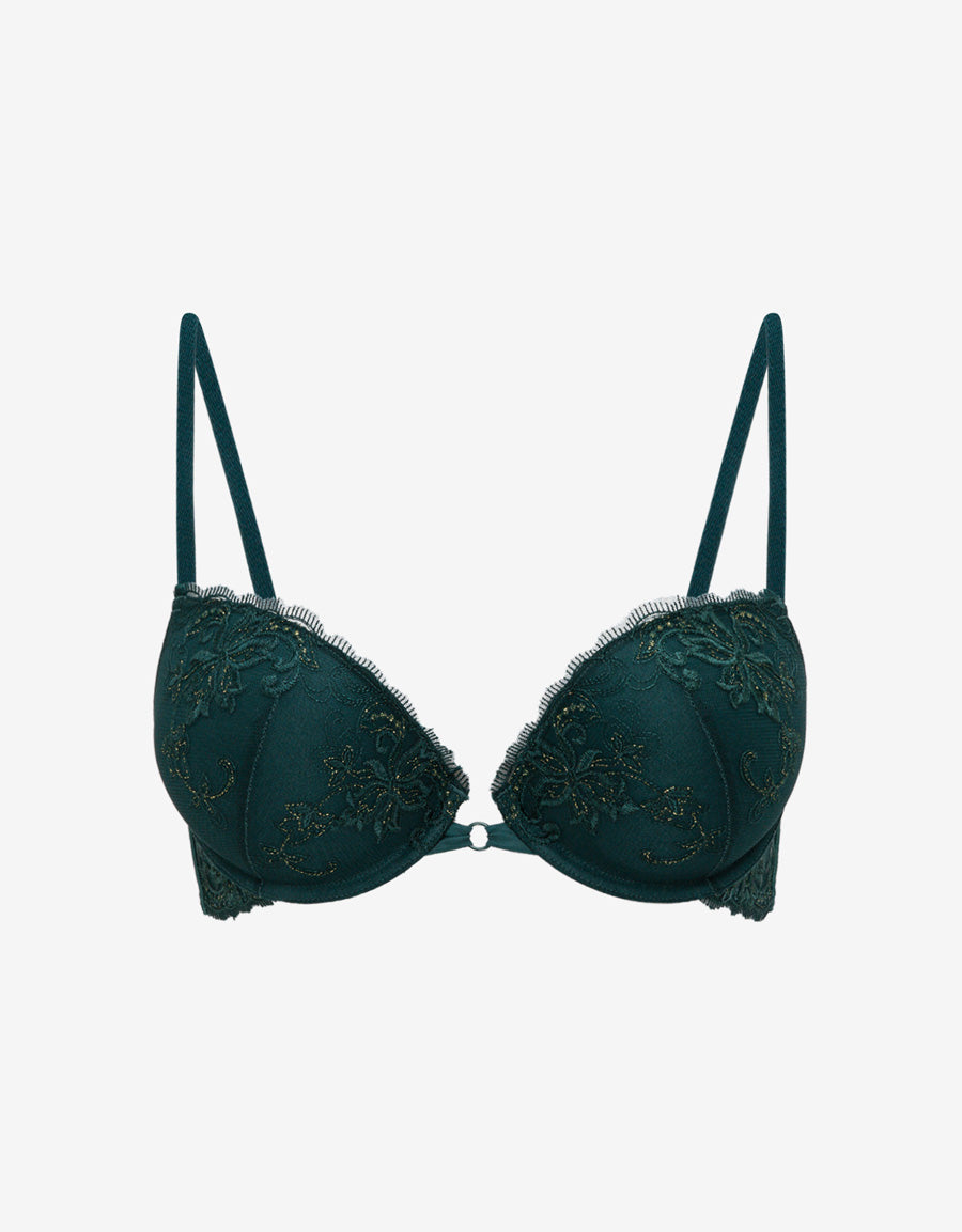 Embroidered Plunge Bra