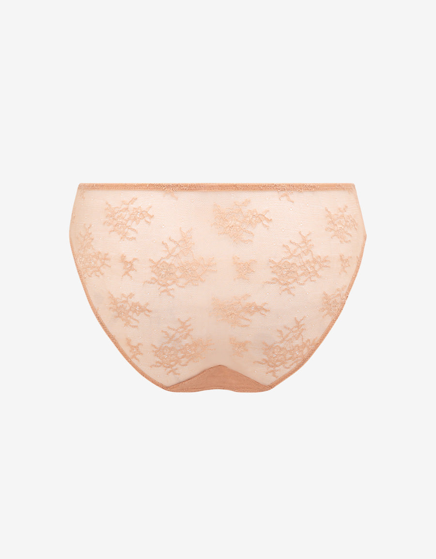 Sequin Embroidered Lace Bikini Panty