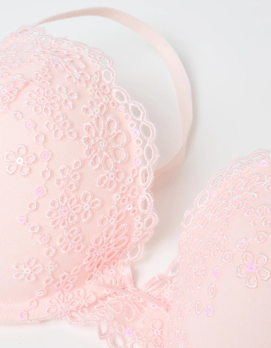 Embroidered Lace Push-Up Plunge Bra