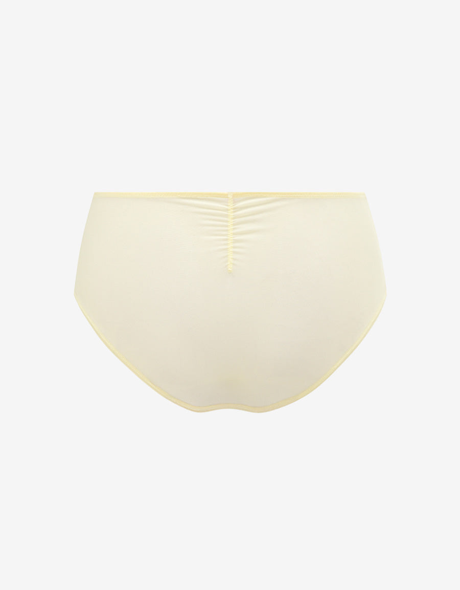 Mesh Microfiber Hipster Panty