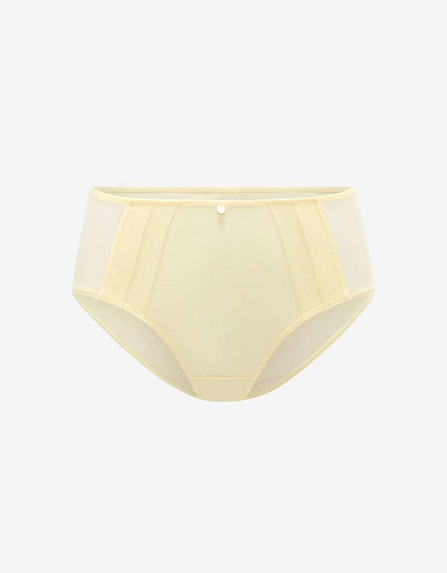 Mesh Microfiber Hipster Panty